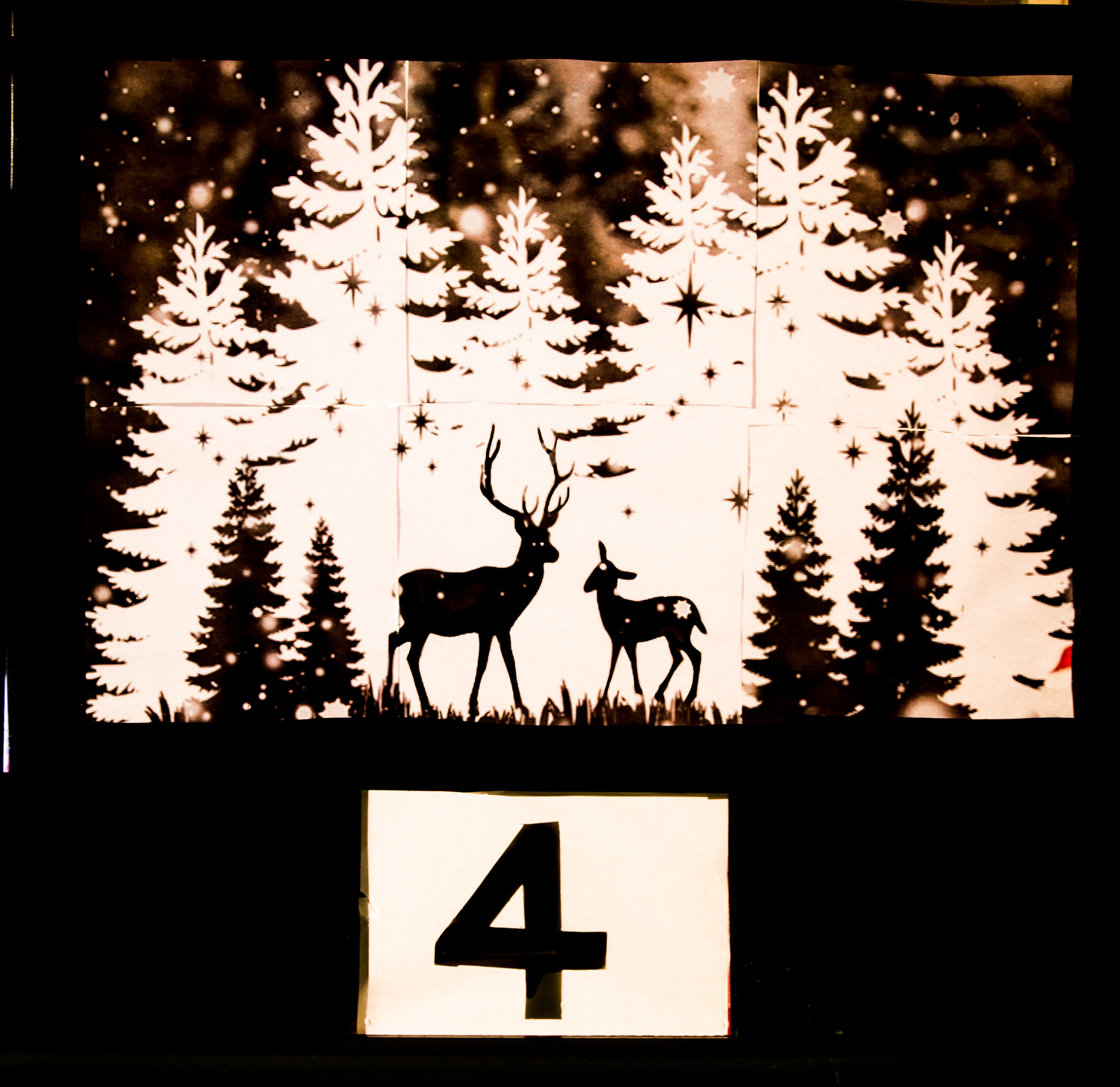 Photo 6 of 30
